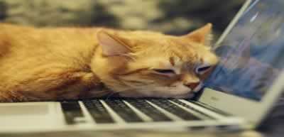 このブログについて